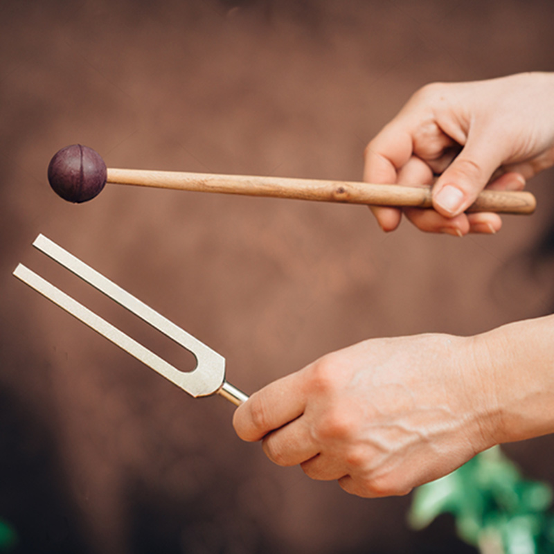 de meesterstemvork van 128 Hz